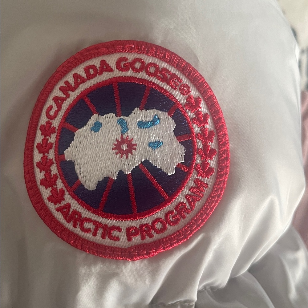 Canada Goose Arctic Program Jacket - Light Gray / Sandstone - Picture 11 of 11